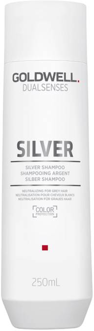 Goldwell Dualsenses 250ml Silver Shampoo