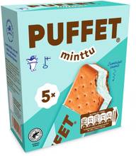 Puffet Minttu välipalajäätelö monipakkaus 5x62g/1,1dl