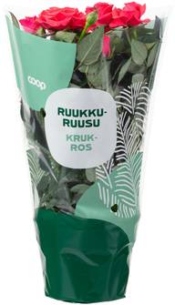Coop Ruukkuruusu, värilajitelma
