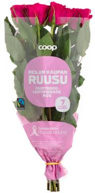 COOP Reilu kauppa Roosa nauha ruusu, lajitelma, 7 oksaa, 40cm