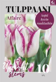 Tulppaani, Tulipa Affaire 11/12, 10kpl