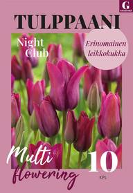 Tulppaani, Tulipa Night Club 11/12, 10kpl