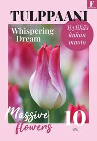 Tulppaani, Tulipa Whispering Dream 11/12, 10kpl