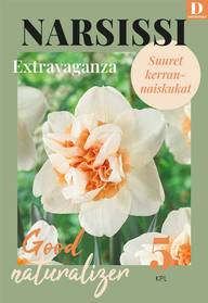 Narsissi, Narcissus Extravaganza Z12/14, 5kpl