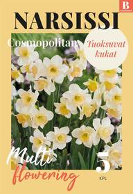 Narsissi Cosmopolitan Z12/14, 5kpl