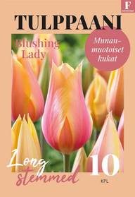 Tulppaani, Tulipa Blushing Lady 11/12, 10kpl