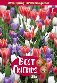 Tulppaani/Krookussekoitus, Tulipa/Crocusmix Yes! Spring!, 25kpl