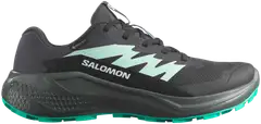 Salomon naisten maastojuoksukengät Alphaglide GTX - phantom/urban chic/waterfall - 1
