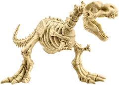 Robo Alive Fossil Find Amber Adventure - 6