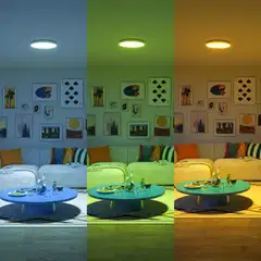 Philips Smart Lighting kattovalaisin pyöreä 18W RGB +  valkoinen säädettävä kaukosäätimellä - 12