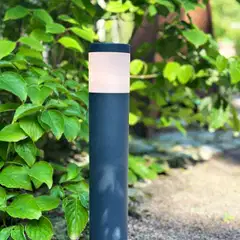 LightsOn pollari Polly - 1