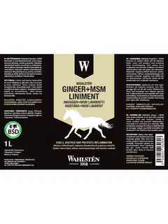 Wahlsten linimentti inkivääri + msm 1l - 2