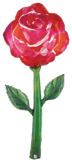 Erikoisfoliopallo - 1