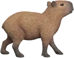 Schleich Capybara - 3