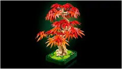LEGO® Botanicals 10348 Punalehtinen japaninvaahtera-bonsaipuu - 6