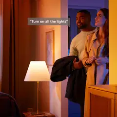 Philips Hue Festavia valosarja 500 LEDiä sisä- ja ulkotiloihin - 5