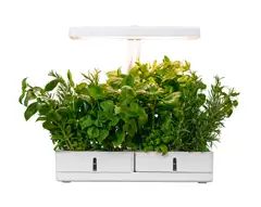 Airam KASVIVALO DAISY 20W/835 1350LM - 7