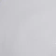 Sandudd Classic kuitutapetti Eeva 3018-1 10,05 x 0,53m valkoinen tapetti helmiäiskimalluksella - 1