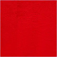 House huopa Solid 130x170 cm punainen - 2