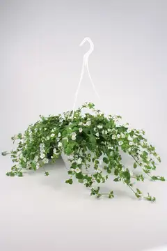 Lumihiutaleamppeli 23 cm - 4