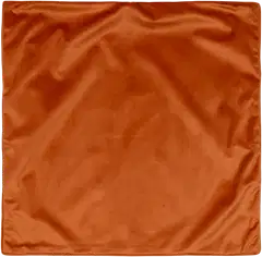 House sisustustyynynpäällinen Velvet 50x50 oranssi - 1