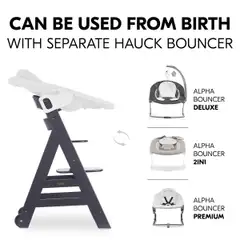 Hauck syöttötuoli Beta+ harmaa - 26