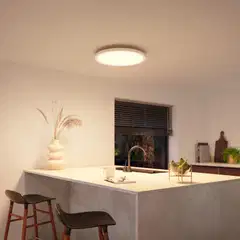 Philips Hue Surimu -paneelivalo 40W 2000-6500K 2850LM pyöreä - 4
