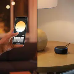 Philips Hue Devere -kattovalaisin kylpyhuoneeseen 19W 2200-6500K 2450LM keskikoko valkoinen - 11