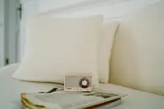 Sangean WR-8 Bluetooth pöytäradio, vaalea tammi - 10