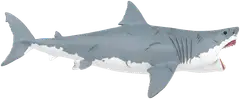 Schleich Megalodon - 2