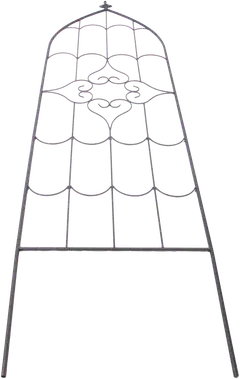 House kasvituki suippo 180 cm 270319 - 4