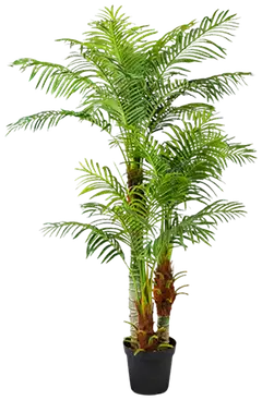 Lykke tekokasvi areca palm 180cm - 5