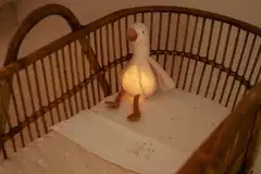 Yövalo musiikilla Newborn Little Goose - 4