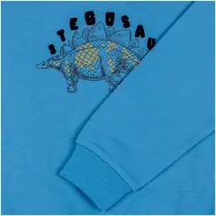 Ciraf lasten collegepusero 25PC254011 - 16-4019tcx forever blue - 3