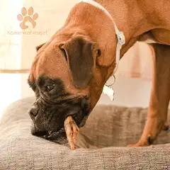 Kaikenkarvaiset Kanan jalka 200g - 4