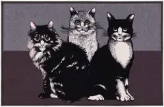 Vallila kynnysmatto Mau 50 x 80 cm - 1