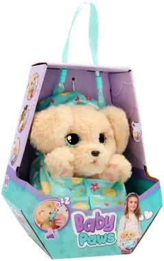 Baby Paws Labradori - 2