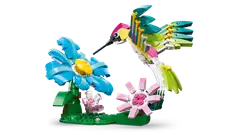 LEGO® LEGO Creator 31384 Villieläimet: Värikäs kolibri - 12