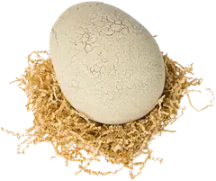 Primal Hatch interaktiivinen kuoriutuva dinosaurus - 3