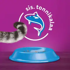 Whiskas 1+ Tonnikalaa 800g - 2