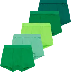 House lasten bokserit 231H082502 5-pack - green multicolor - 1