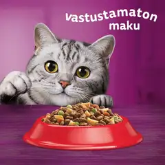 Whiskas 1+ sis. Härkää (1,9 kg) - 4