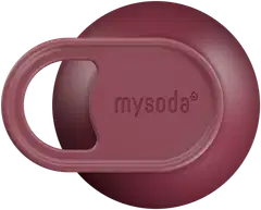 Mysoda Thermal-juomapullo 1L Beetroot - 4