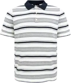 House miesten lyhythihainen neulepaita 195H152606 - Blue-grey-white striped - 1