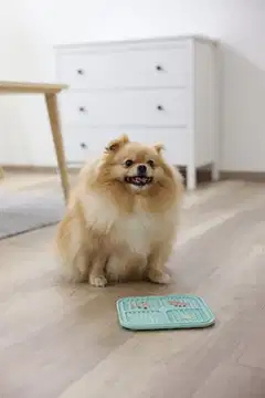 Kerbl lemmikin nuolumatto, turkoosi 20x20cm - 11