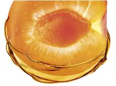 Garnier Ambre Solaire Natural Bronzer itseruskettava normaalille iholle 75 ml - 3
