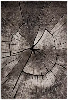ihankotona matto Timber 160x230 cm harmaa - 1