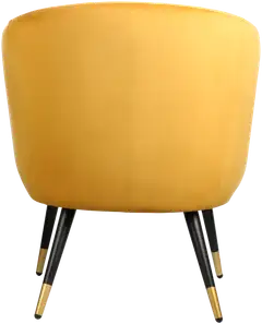 EGLO tuoli Ampaha 70x65 cm keltainen - 2