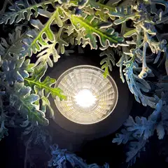 LightsOn spottivalaisin Castor - 1