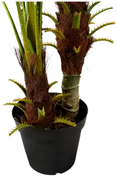 Lykke tekokasvi areca palm 180cm - 3